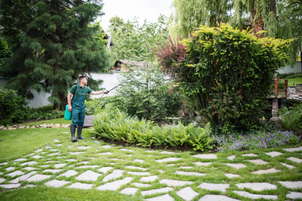Best Lawn Pest Prevention  in China Grove, TX